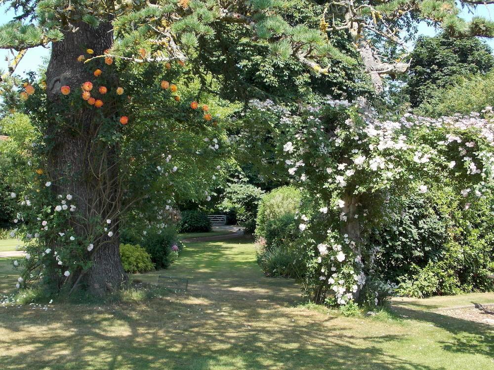 Pensjonat Rectory Manor Lavenham Zewnętrze zdjęcie